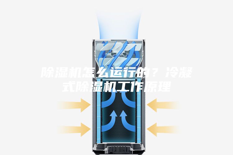 除濕機(jī)怎么運(yùn)行的？冷凝式除濕機(jī)工作原理
