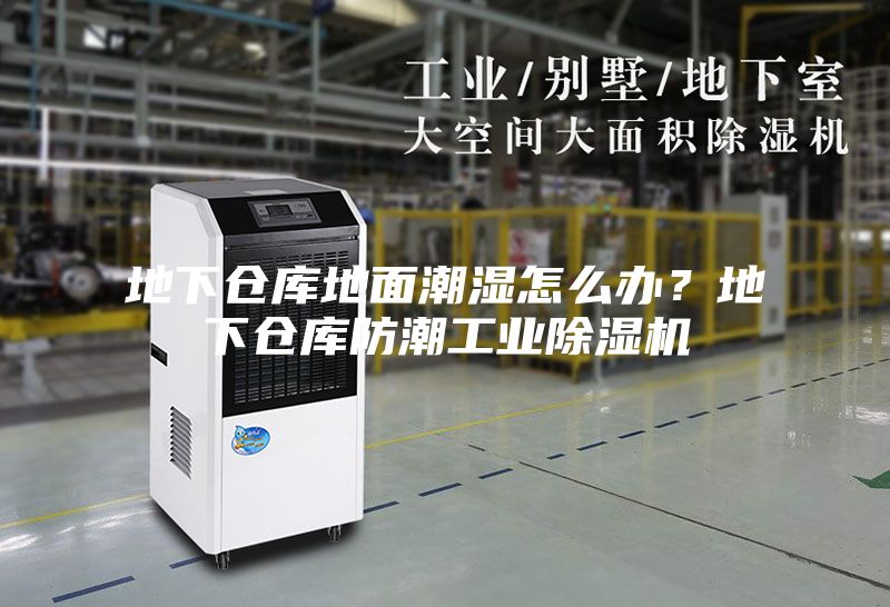 地下倉庫地面潮濕怎么辦？地下倉庫防潮工業除濕機