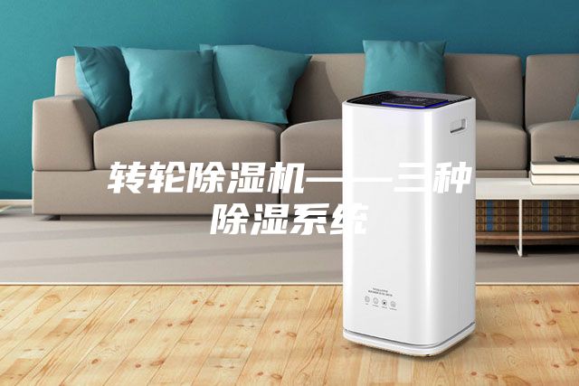 轉輪除濕機——三種除濕系統(tǒng)