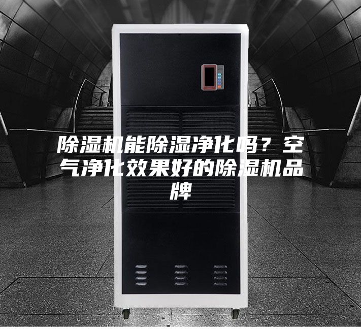 除濕機能除濕凈化嗎？空氣凈化效果好的除濕機品牌