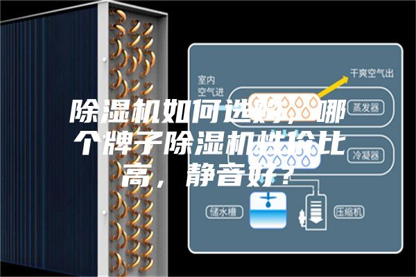 除濕機如何選購，哪個牌子除濕機性價比高，靜音好？