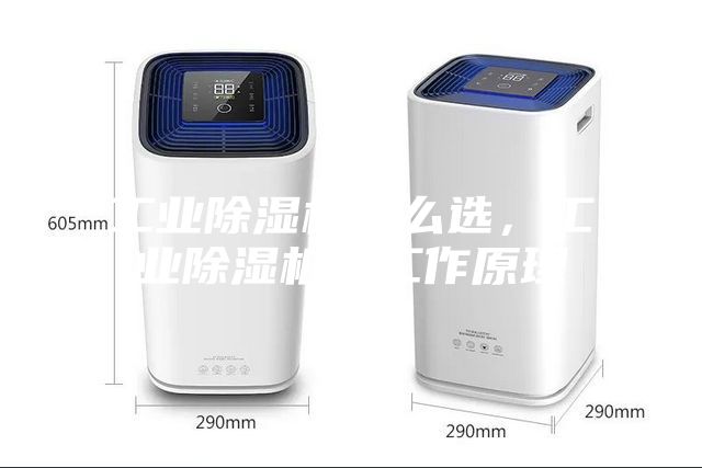 工業(yè)除濕機(jī)怎么選，工業(yè)除濕機(jī)的工作原理