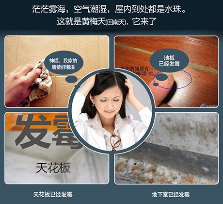 酒店、餐廳這么潮，誰還放心？除濕機用起來啊