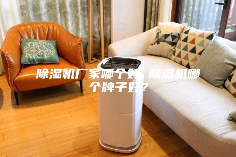 除濕機廠家哪個好 除濕機哪個牌子好？