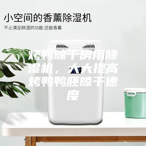 烤鴨晾干房用除濕機，大大提高烤鴨鴨胚晾干速度