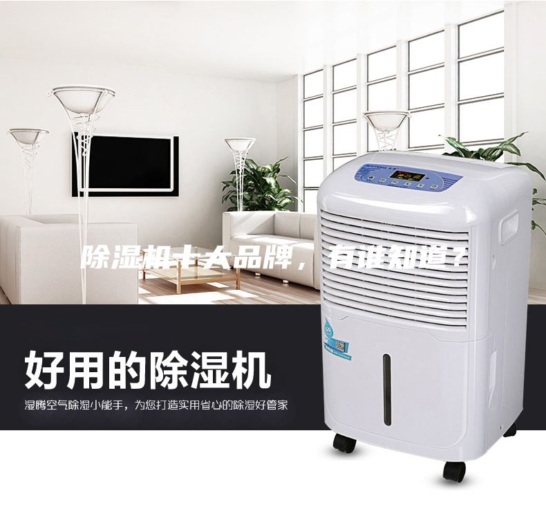 除濕機(jī)十大品牌，有誰知道？