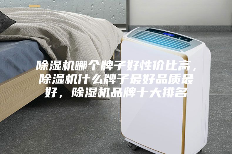 除濕機哪個牌子好性價比高，除濕機什么牌子最好品質最好，除濕機品牌十大排名