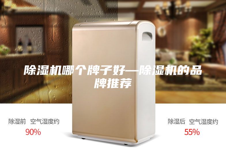 除濕機(jī)哪個(gè)牌子好—除濕機(jī)的品牌推薦