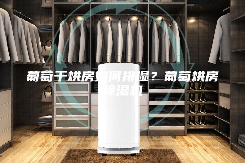 葡萄干烘房如何排濕？葡萄烘房除濕機(jī)