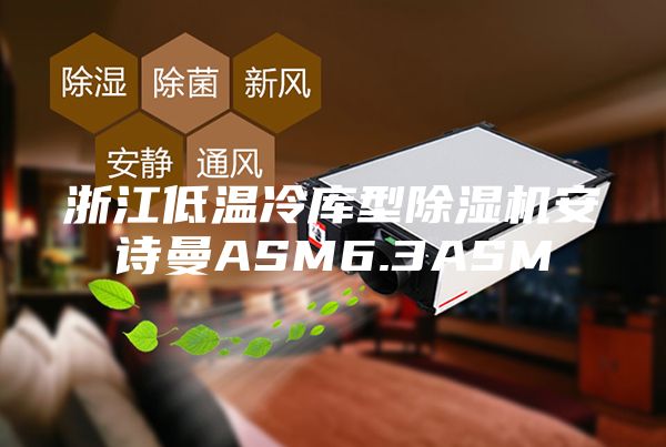 浙江低溫冷庫型除濕機安詩曼ASM6.3ASM