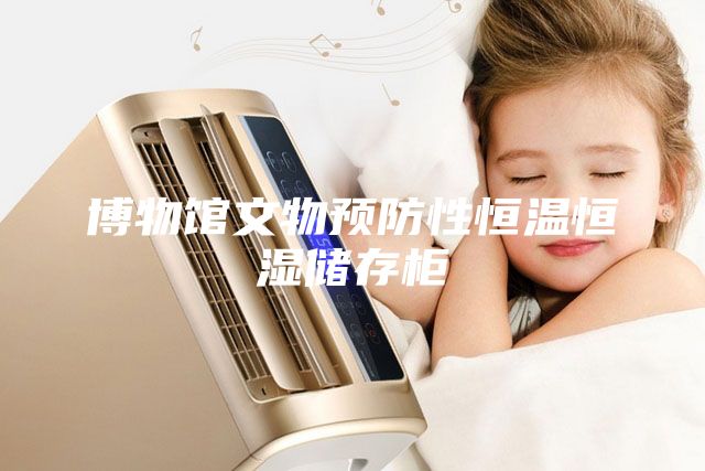 博物館文物預防性恒溫恒濕儲存柜