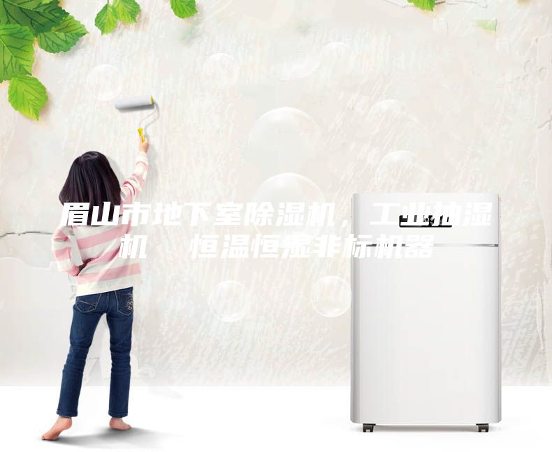 眉山市地下室除濕機，工業(yè)抽濕機  恒溫恒濕非標機器