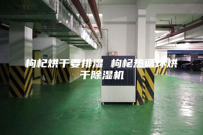 枸杞烘干要排濕 枸杞熱循環烘干除濕機