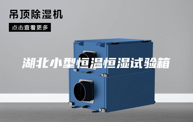 湖北小型恒溫恒濕試驗箱