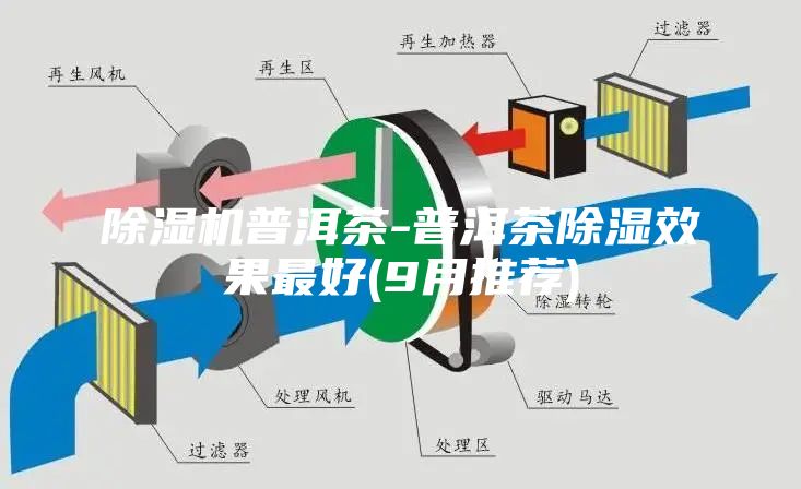 除濕機普洱茶-普洱茶除濕效果最好(9月推薦)