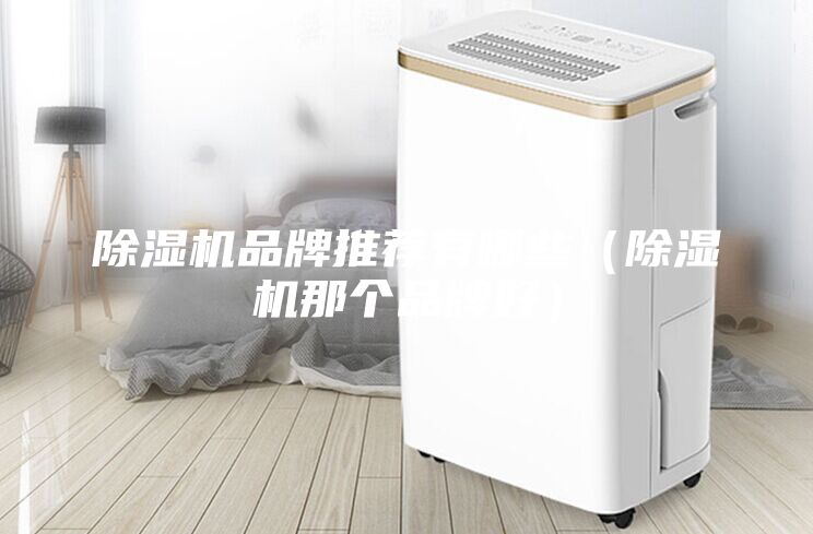除濕機品牌推薦有哪些（除濕機那個品牌好）
