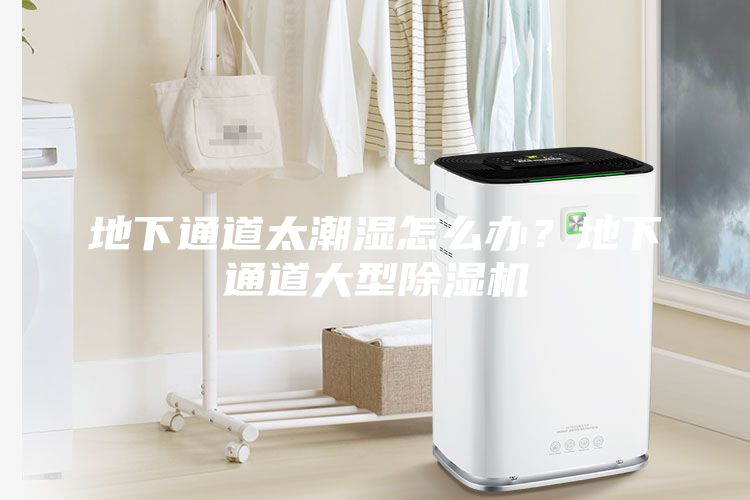 地下通道太潮濕怎么辦？地下通道大型除濕機(jī)