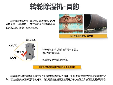 貓糧防潮秘籍，貓糧如何儲存