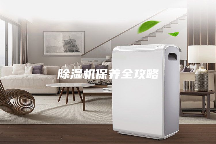 除濕機保養全攻略