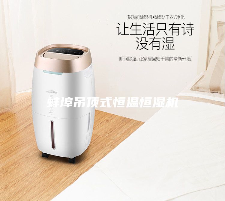 蚌埠吊頂式恒溫恒濕機(jī)
